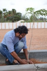 Baahubali Team Participate In Haritha Haaram Event